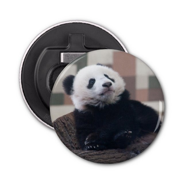 Abrebotellas Dulce Giant Panda Baby (Anverso)
