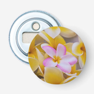 Abrebotellas EE. UU., Hawái, Oahu, Flores de plumeria en flor 1