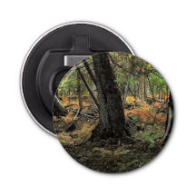 Escenario forestal de otoño