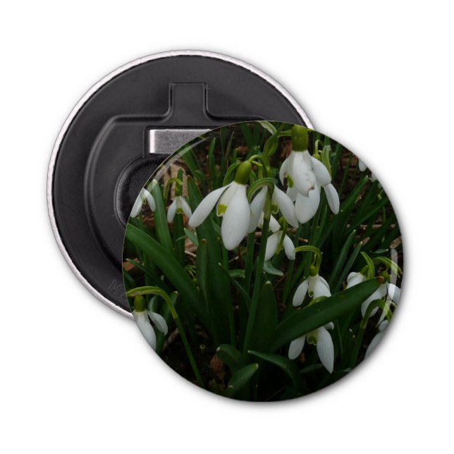 Abrebotellas Flores de Primavera Blanca (Galanthus) (Anverso)