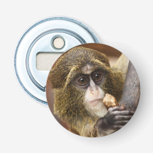 Abrebotellas Foto del árbol de escalada de monos