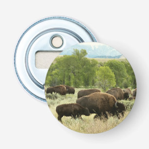 Abrebotellas Fotografía de animales de la naturaleza de Wyoming