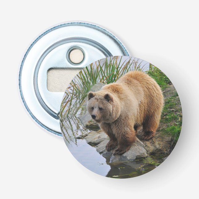 Abrebotellas Fotografía de animales salvajes de oso pardo (Anverso)
