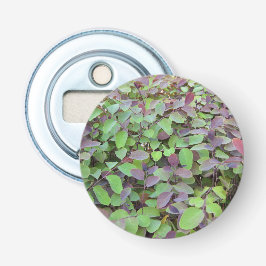 Abrebotellas Fotografía de Ramas de Hojas Rojas y Verdes