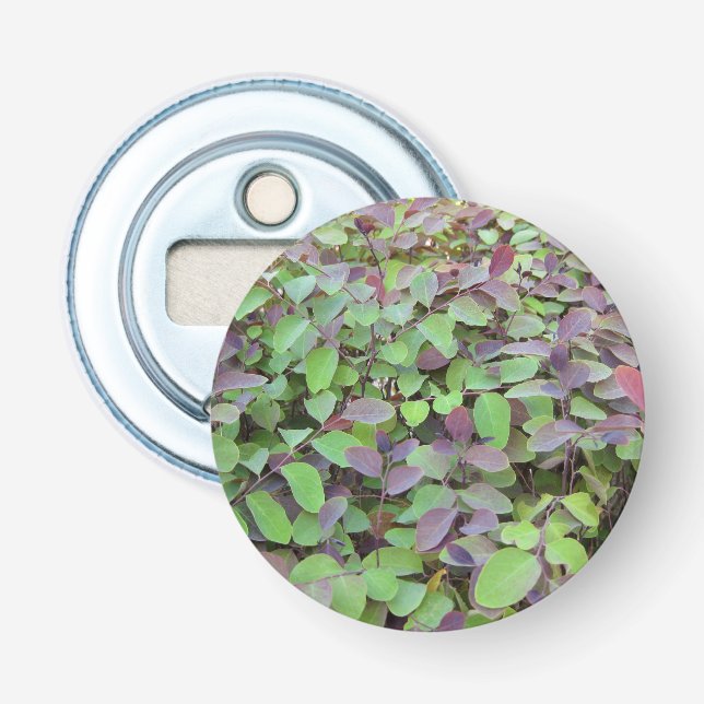 Abrebotellas Fotografía de Ramas de Hojas Rojas y Verdes (Anverso)