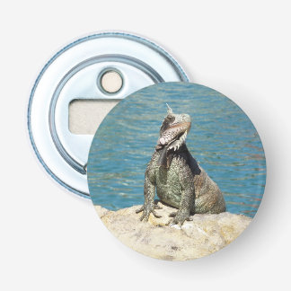 Abrebotellas Fotografía de vida salvaje tropical de Iguana en S