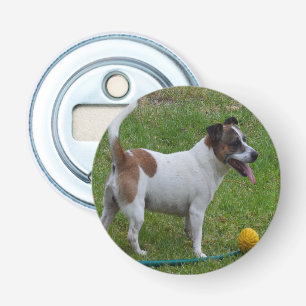 Abrebotellas Fox Terrier Con Su Bolera Amarilla, Apertura De Bo