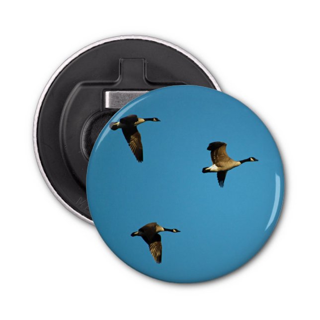 Abrebotellas Géanos canadienses en vuelo (Anverso)