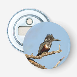 Abrebotellas Giant Kingfisher