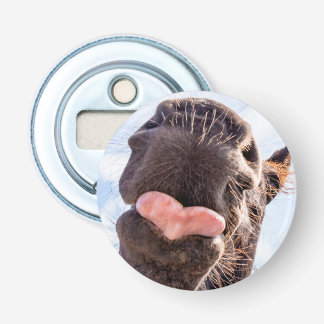 Abrebotellas Graciosa foto de boca del caballo