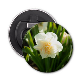 Abrebotellas Grandes narcisos blancos en un día de primavera  