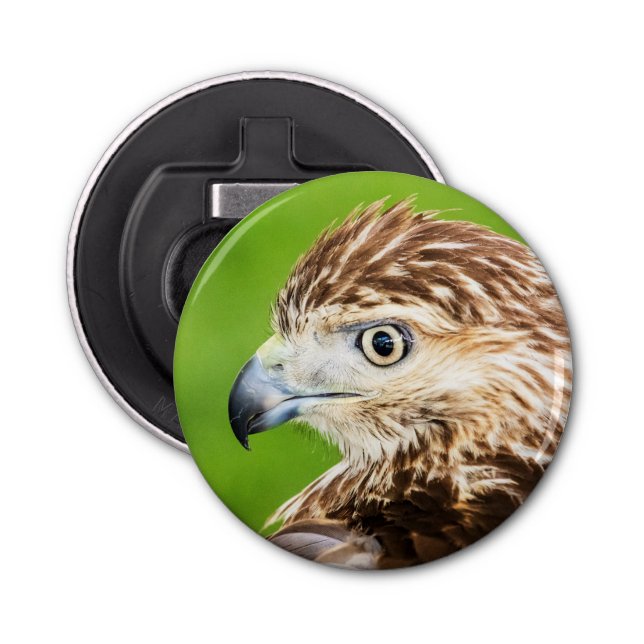 Abrebotellas Halcón atado rojo juvenil (Anverso)