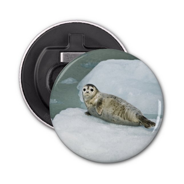 Abrebotellas Harbor Seal (Anverso)