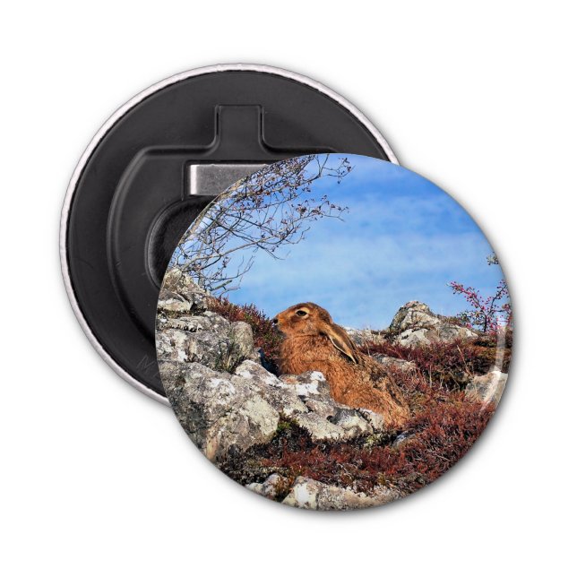 ABREBOTELLAS HARE (Anverso)