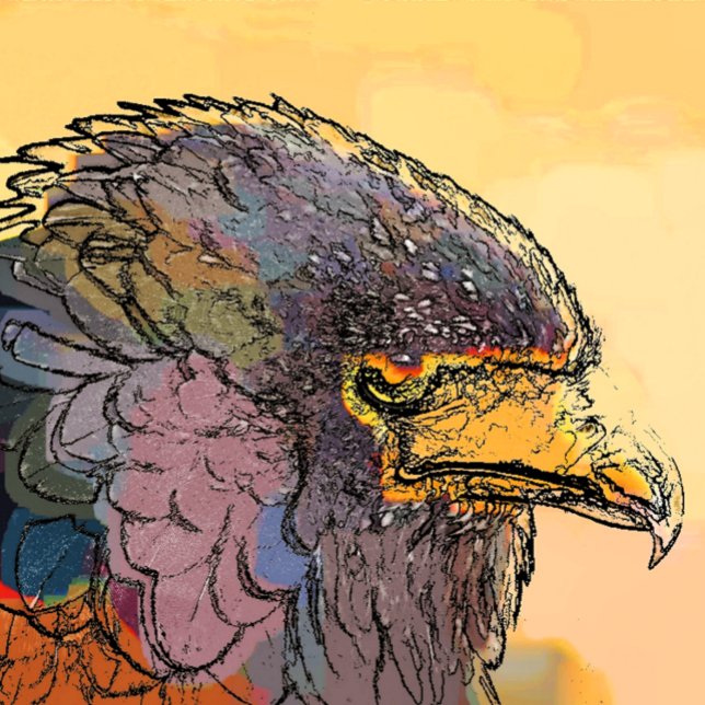 ABREBOTELLAS HAWK (A vibrant art design of a Harris Hawk bird of prey.)