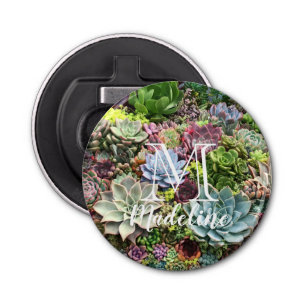 Abrebotellas Hermosos Suculentos