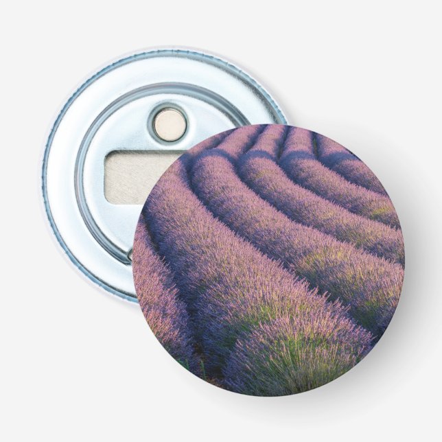 Abrebotellas Hileras de lavanda en Provenza (Anverso)