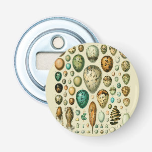 Abrebotellas Huevos de Pájaros Antiguos Arte de Hueva de Pescad