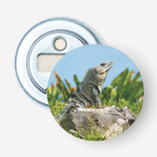 Abrebotellas Iguana