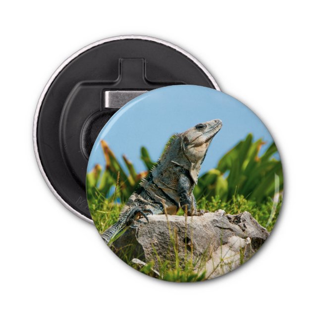 Abrebotellas Iguana (Anverso)