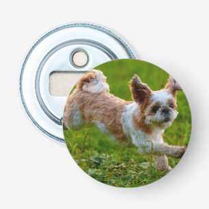 Abrebotellas Imagen corta que corre a Shih Tzu Dog