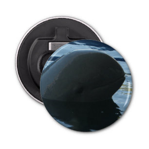 Abrebotellas Irrawaddy Dolphin Peek-A-Boo
