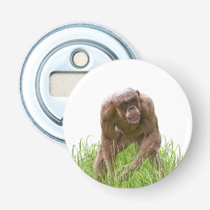 Abrebotellas Jambo El Único Chimpancé Sin Cabello