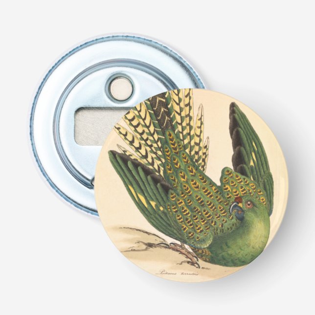 Abrebotellas James Sowerby Ground Parrot, Psittacus terrestres (Anverso)