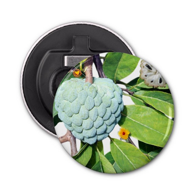 Abrebotellas La pomme-cannelle - Verre à shot (Anverso)