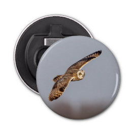 Abrebotellas Lechuza de corta duración en las praderas de Shawa