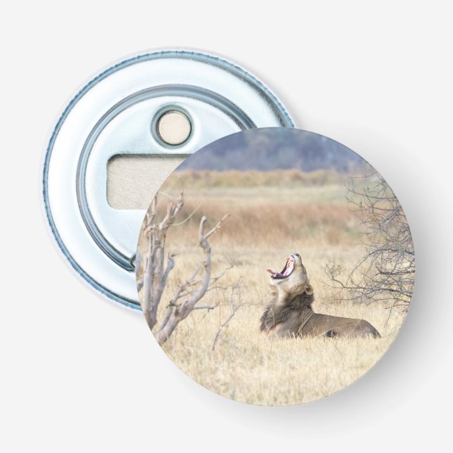 Abrebotellas León de Yawning (Anverso)