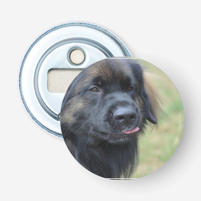 Abrebotellas Leonberger adorable (Anverso)