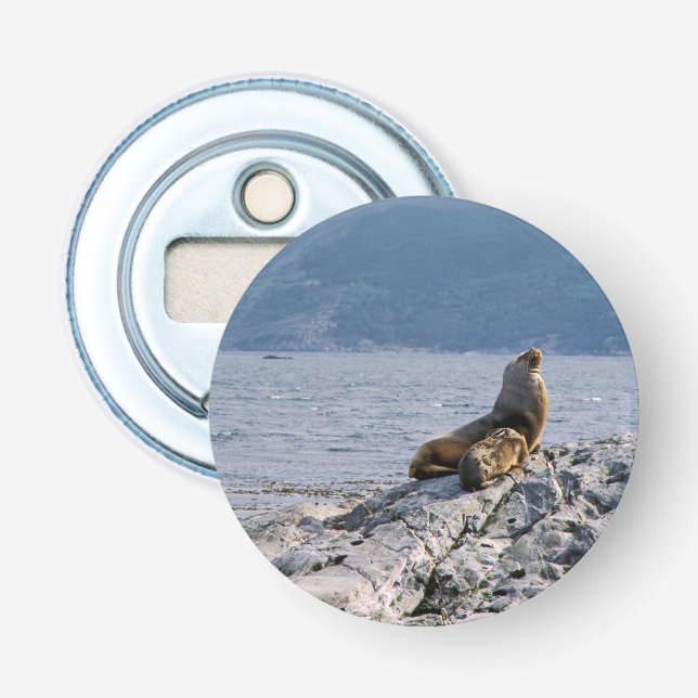 Abrebotellas Leones marinos en el canal de la remolacha - Argen (Anverso)