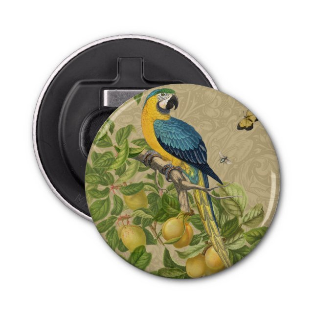 Abrebotellas Macaw Blue Yellow Tropical Jungle Antigüedad (Anverso)