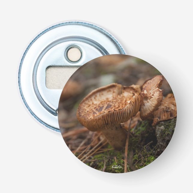 Abrebotellas magnetizado, foto de setas (Anverso)