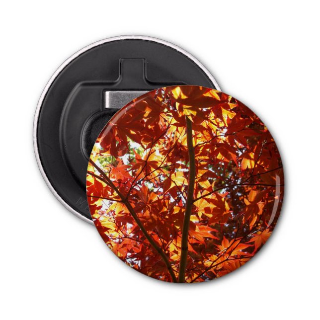 Abrebotellas Maple japonés al sol (Anverso)