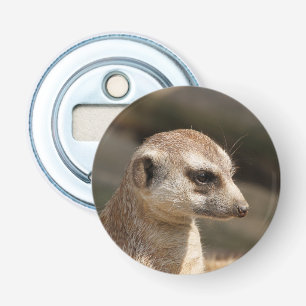 Abrebotellas Meerkat 048