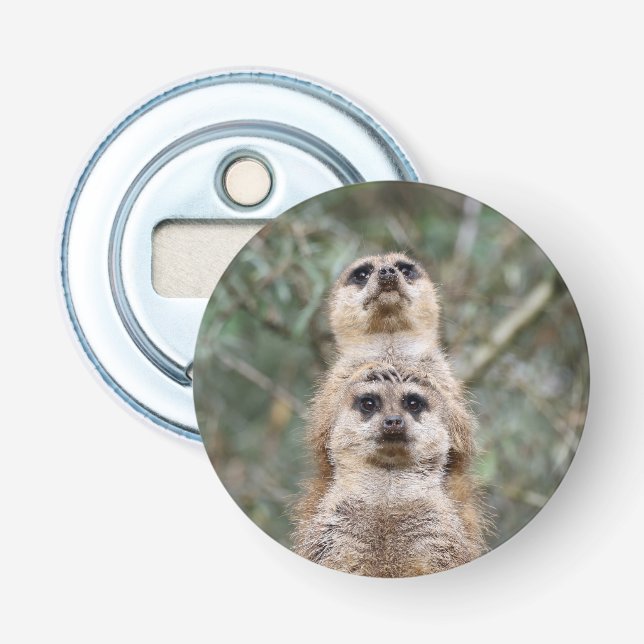 Abrebotellas Meerkat 081 (Anverso)