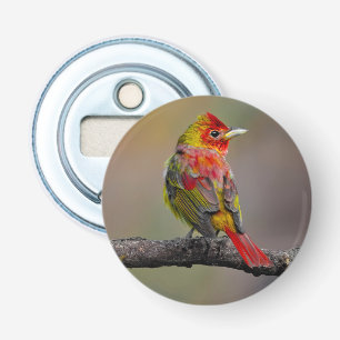 Abrebotellas Moldura de Tanager de escarlata - Fotografía origi