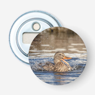 Abrebotellas Pato Mallard en Downing Park
