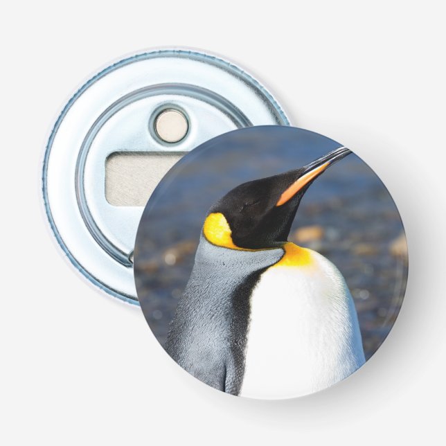 Abrebotellas Penguin Portrait (Anverso)