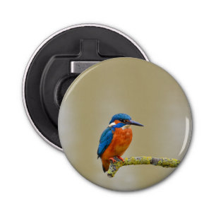 Abrebotellas Perching Kingfisher