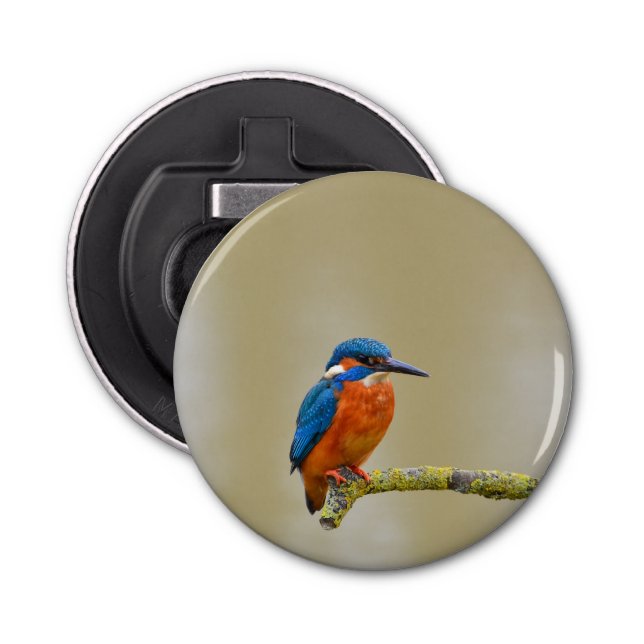 Abrebotellas Perching Kingfisher (Anverso)