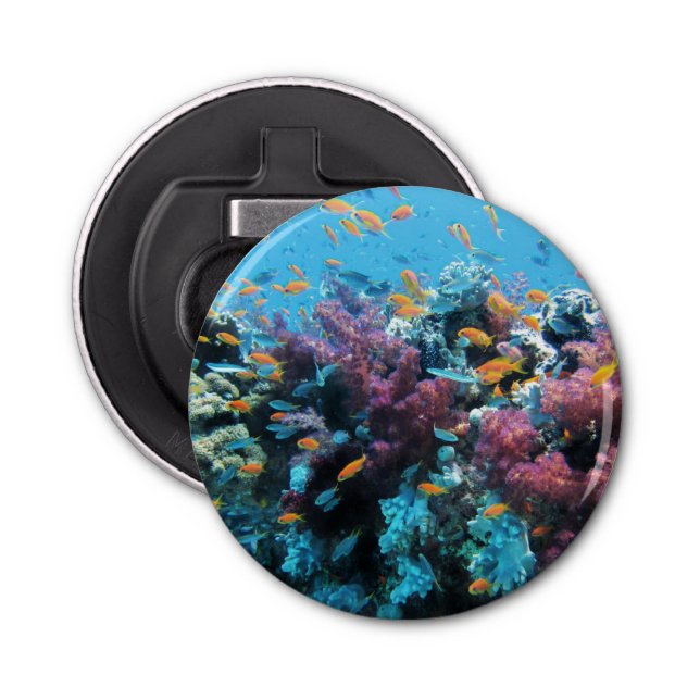 Abrebotellas Pescado Naranja tropical y coral rosa (Anverso)