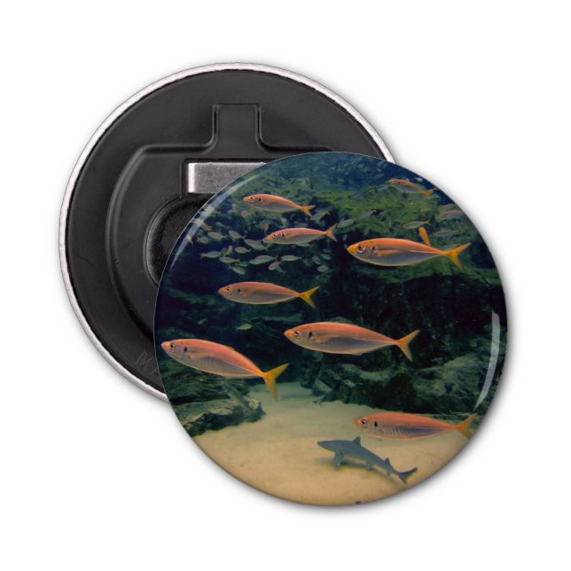 Abrebotellas Pescado Rosado Shoal (Anverso)