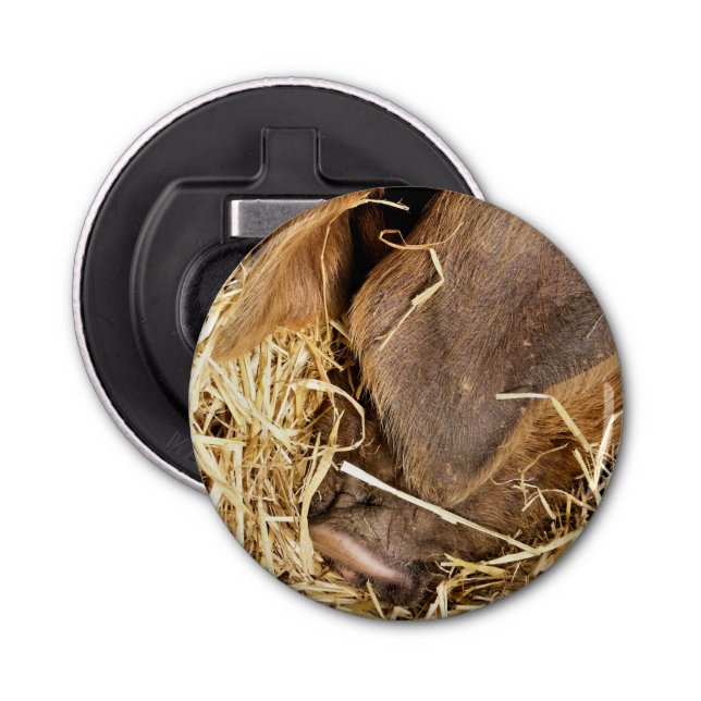 ABREBOTELLAS PIG (Anverso)