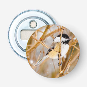 Abrebotellas Pollito de punta negra - Fotografía original