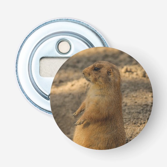 Abrebotellas Prairie Dog Cute Photo (Anverso)