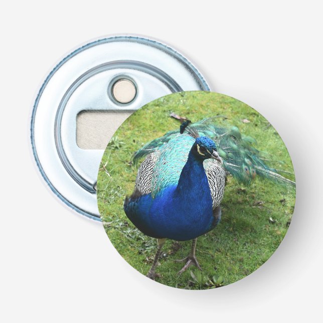 Abrebotellas Regal Peacock Power (Anverso)