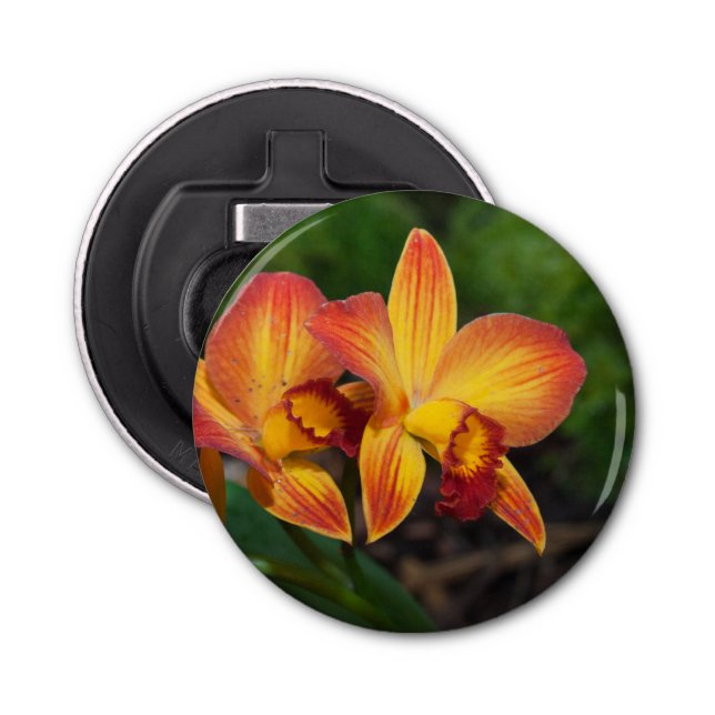 Abrebotellas Rhyncattleanthe Love Tapestry (Anverso)